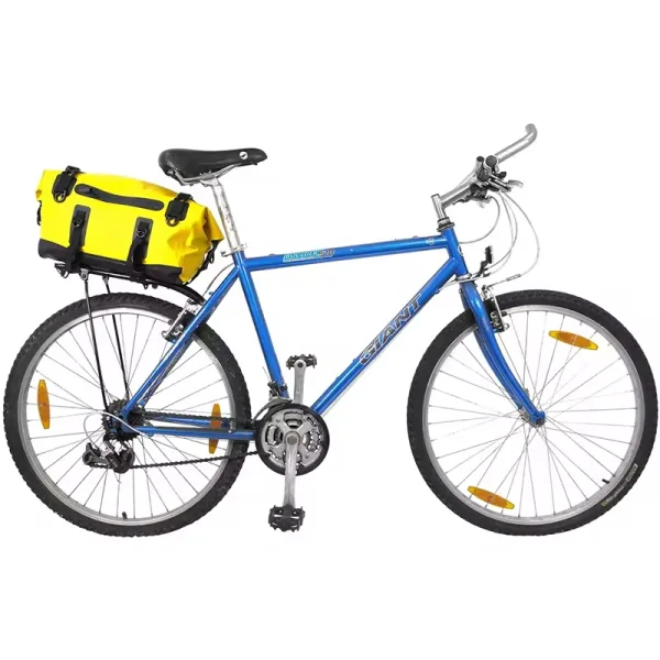 bike travel fitness bag